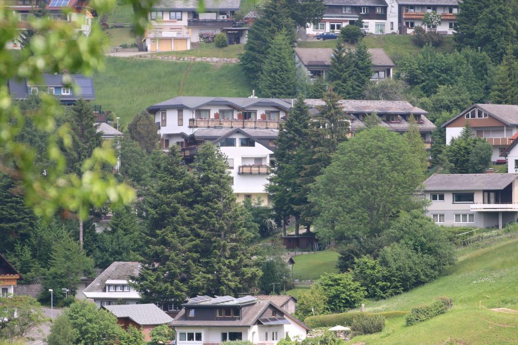 Todnauerberg Hotel Im Schwarzwald Todtnauberg Exterior photo