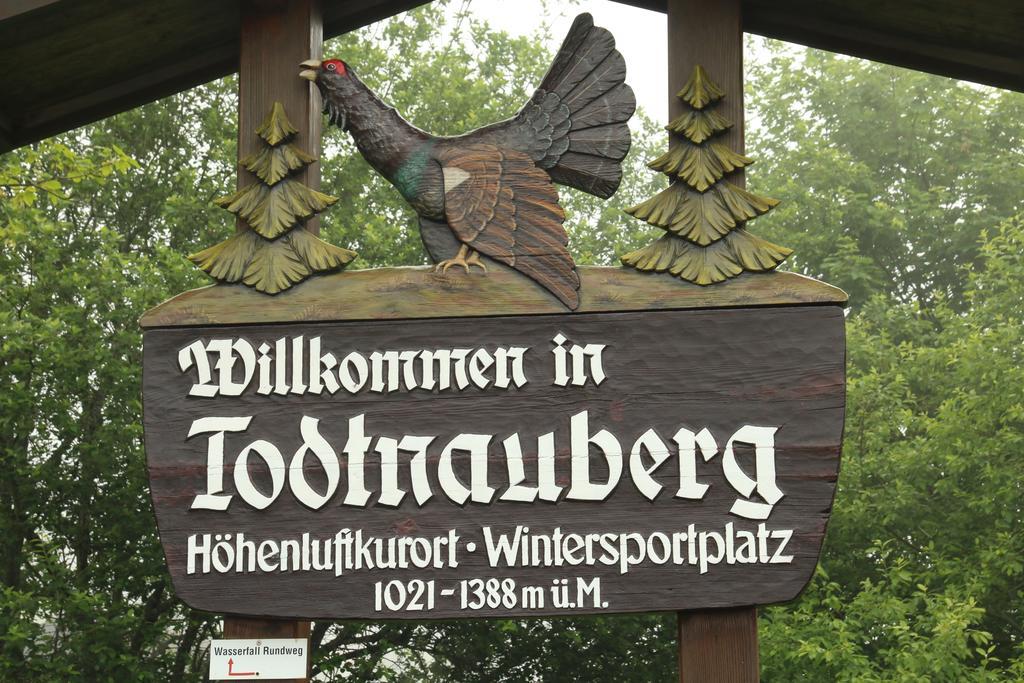 Todnauerberg Hotel Im Schwarzwald Todtnauberg Exterior photo
